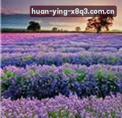 李薇